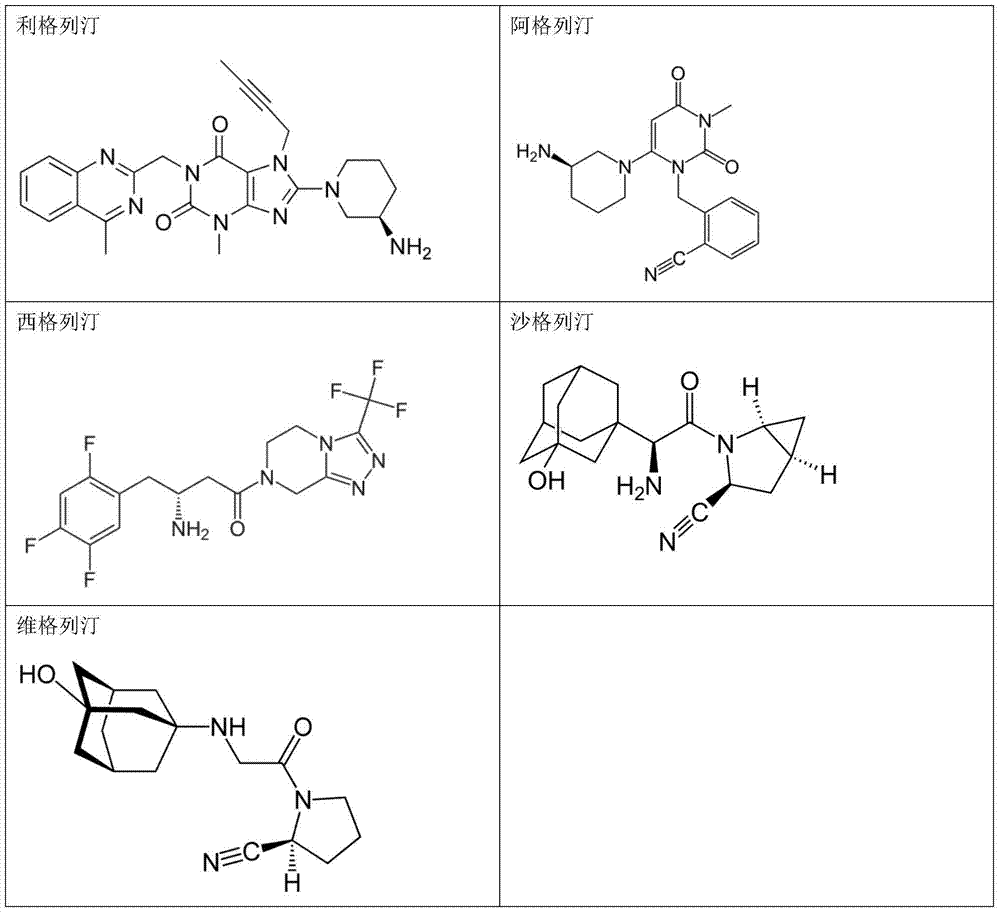 Antidiabetic pharmaceutical composition and preparation method thereof