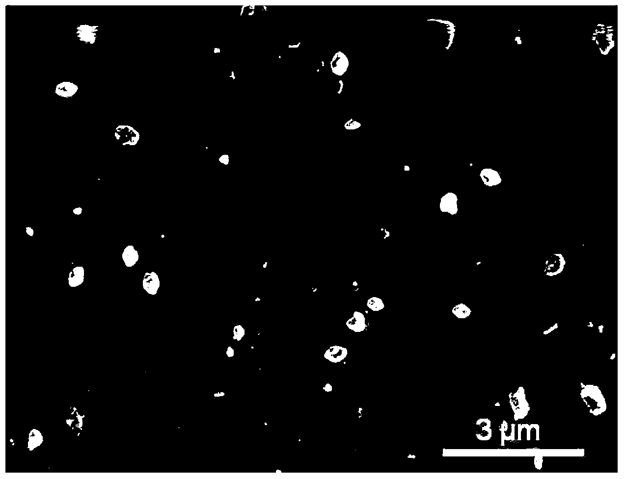 Protein micro/nano sphere carrying antitumor chemotherapeutic medicine and preparation method of protein micro/nano sphere