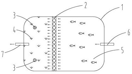 Fish-grass symbiotic ecological fish pond and fishery breeding sewage treatment method