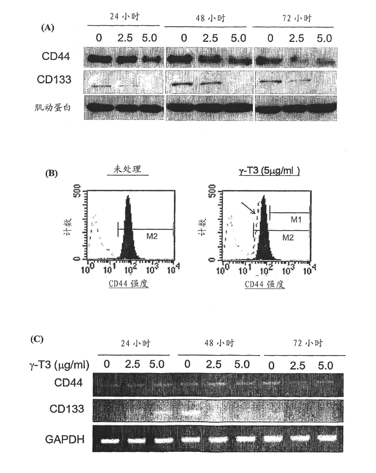 Use of tocotrienol composition for the prevention of cancer