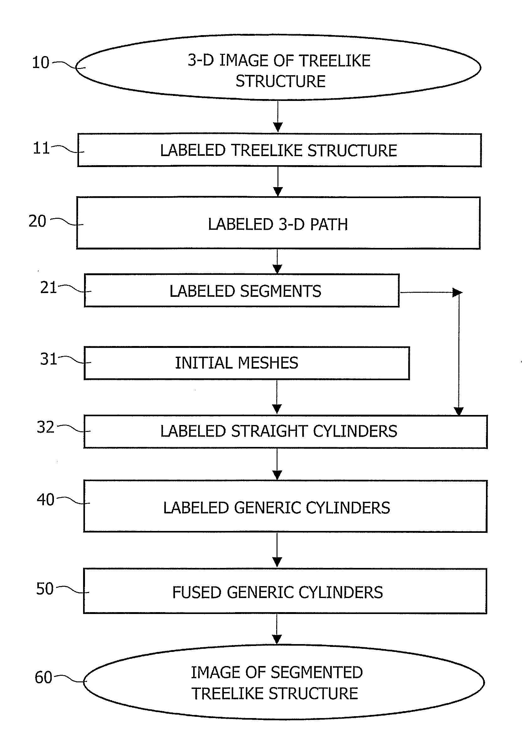 Image Processing System for Automatic Segmentation of a 3-D Tree-Like Tubular Surface of an Object, Using 3-D Deformable Mesh Models