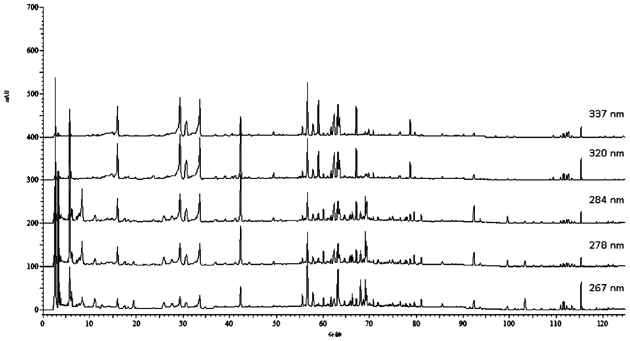 Construction method of HPLC fingerprint and detection method of Qian Bai Bi Yan Pian