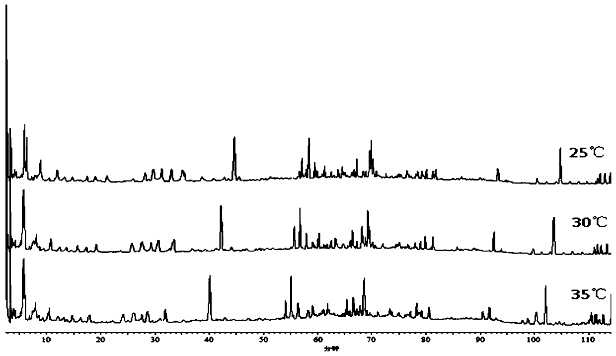 Construction method of HPLC fingerprint and detection method of Qian Bai Bi Yan Pian