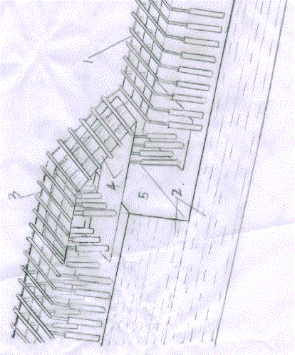 Step-type non-coal pillar mining method in steeply inclined medium-thick coal seam