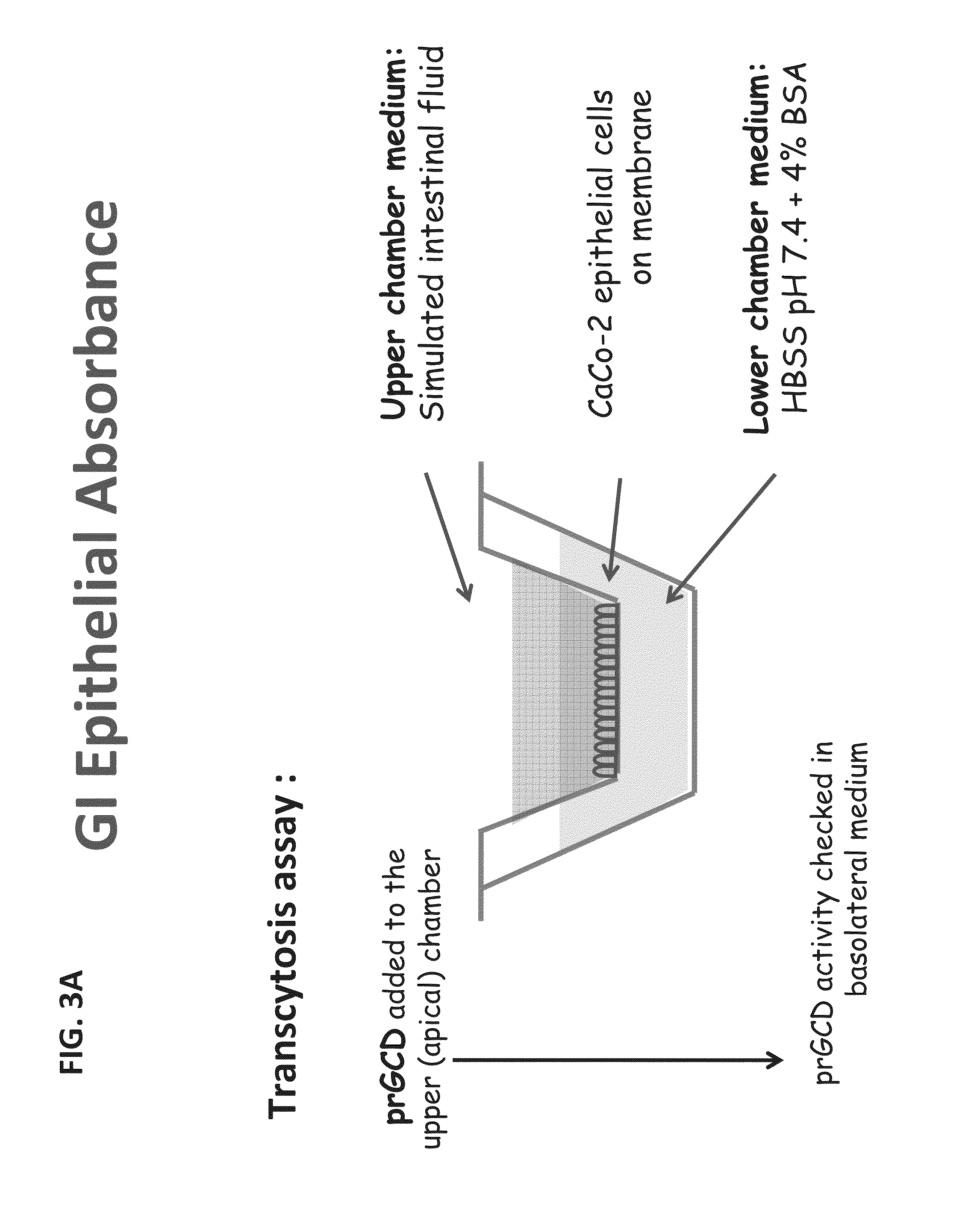 Oral unit dosage forms and uses of same for the treatment of gaucher disease