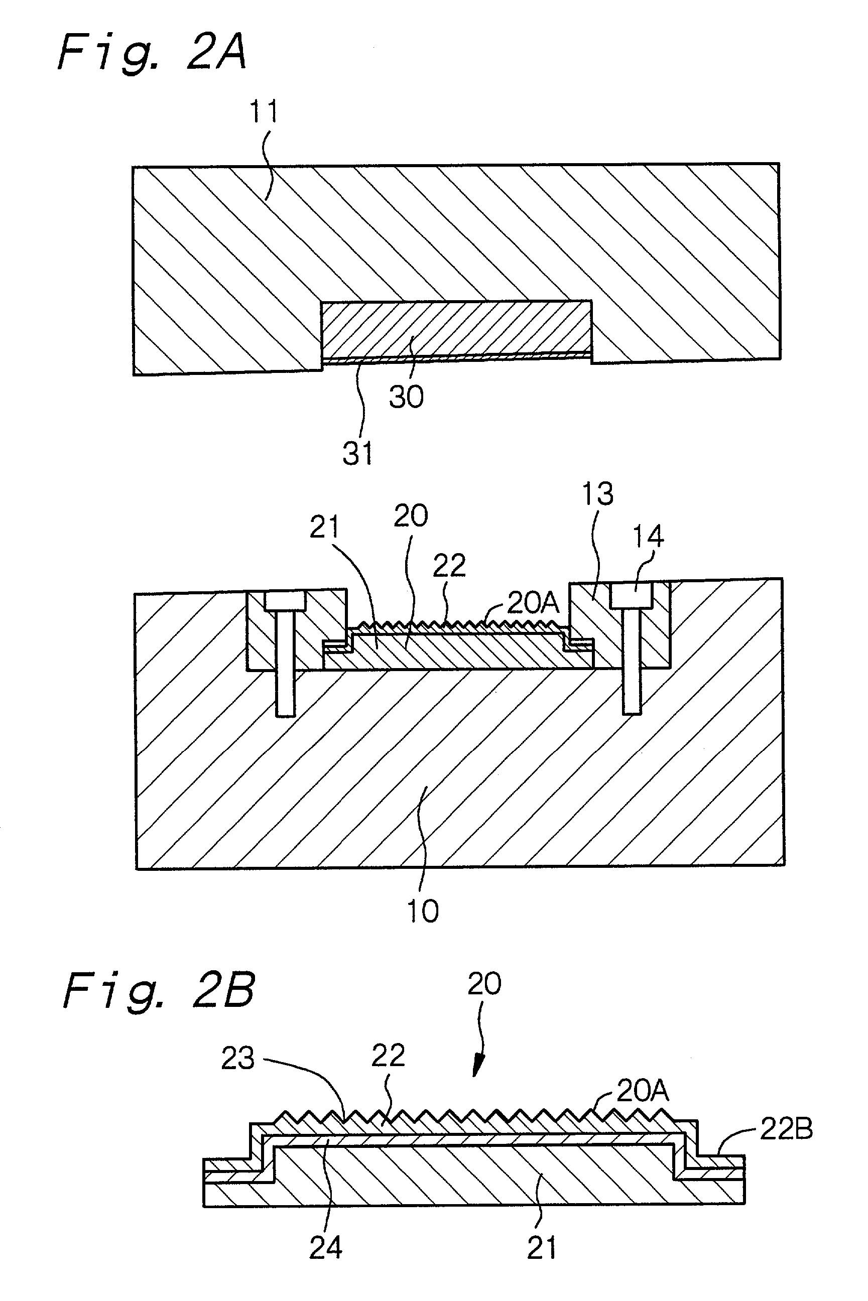 Light guide plate with convex portions having low radius of curvature tips, or low surface roughness