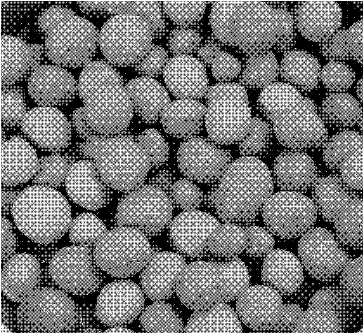 Magnetite-zeolite magnetic biological carrier material, as well as preparation method and application method thereof