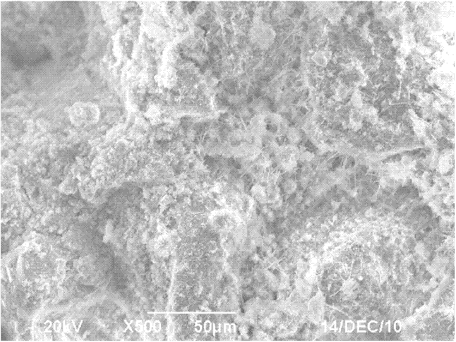 Magnetite-zeolite magnetic biological carrier material, as well as preparation method and application method thereof