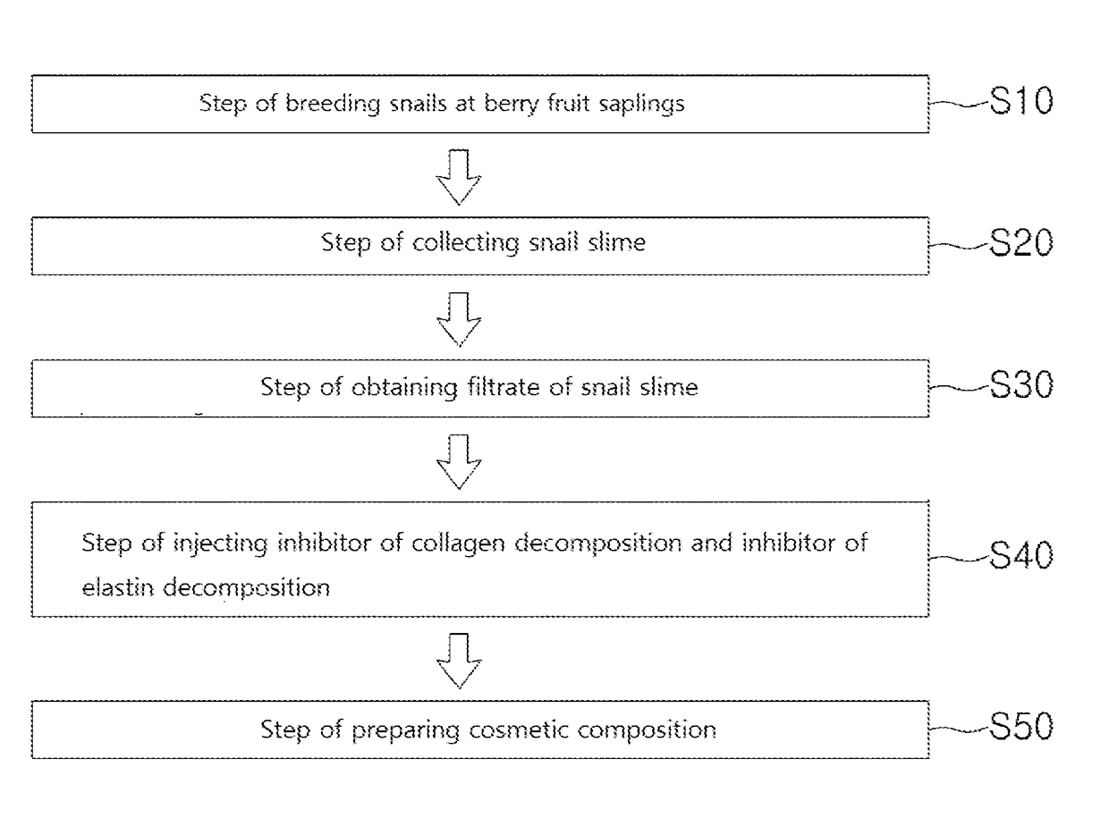 Cosmetic composition comprising slime of snail fed with berry fruits and preparation method thereof