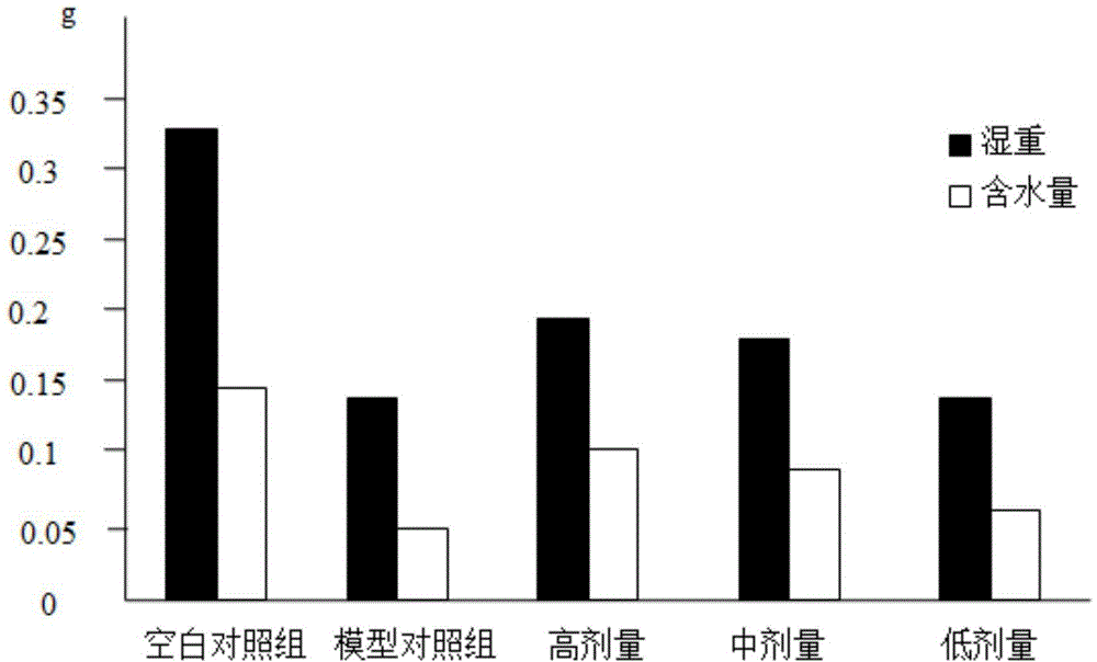 Traditional Chinese medicine composition for treating senile intractable constipation, and preparation method thereof