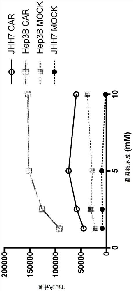 Chimeric receptor polypeptides in combination with trans metabolism molecules modulating intracellular lactate concentrations and therapeutic uses thereof