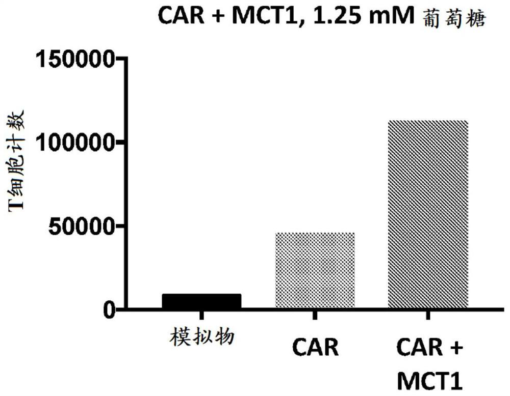 Chimeric receptor polypeptides in combination with trans metabolism molecules modulating intracellular lactate concentrations and therapeutic uses thereof