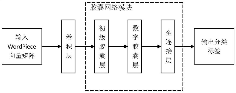 An Integral Sentiment Intelligent Classification Method for Complex Review Texts Based on Synthetic Deep Capsule Networks