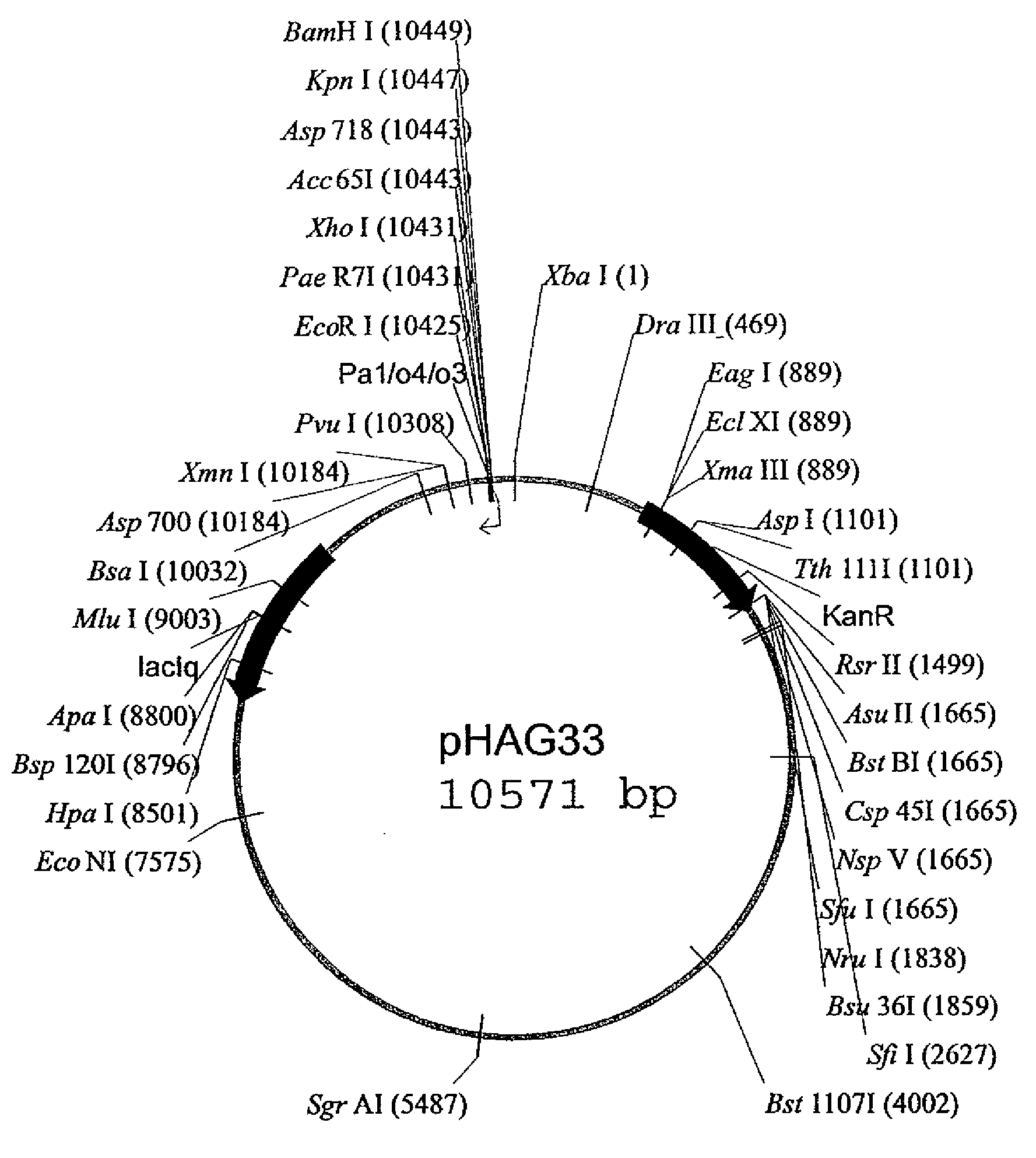 Cytotoxin-based biological containment