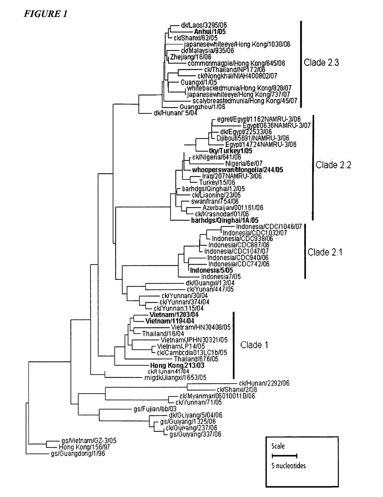 Vaccination with multiple clades of H5 influenza A virus