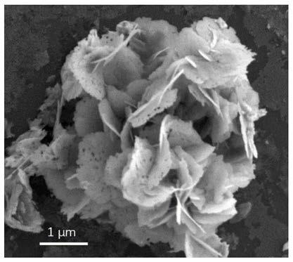 Bismuth metal loaded tungsten nitride photocatalyst as well as preparation method and application thereof