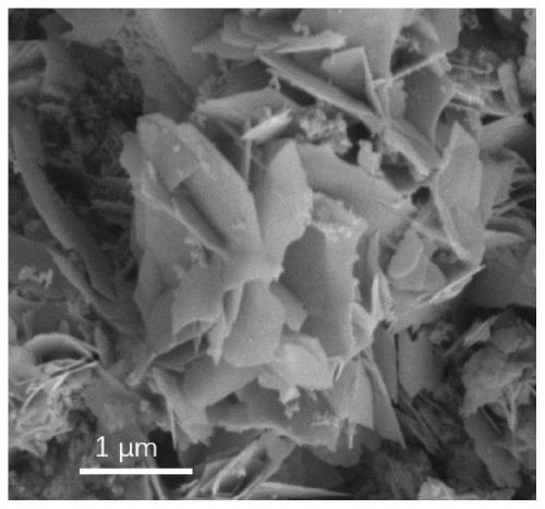 Bismuth metal loaded tungsten nitride photocatalyst as well as preparation method and application thereof