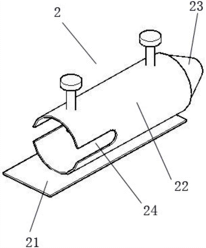 Multifunctional mouse tail intravenous injection platform