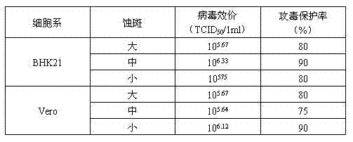 Duck hemorrhagic oophoritis inactivated vaccine production method by using cell line and product thereof