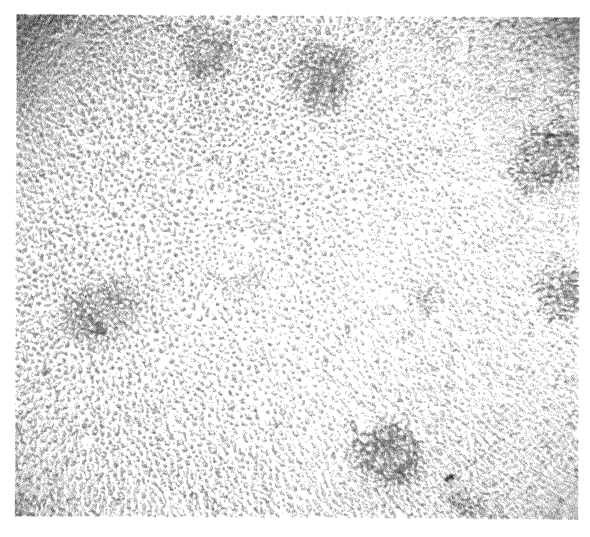 Method for culturing dendritic cells (DC) and cytokine-induced killer cells (D-CIK) and applications thereof