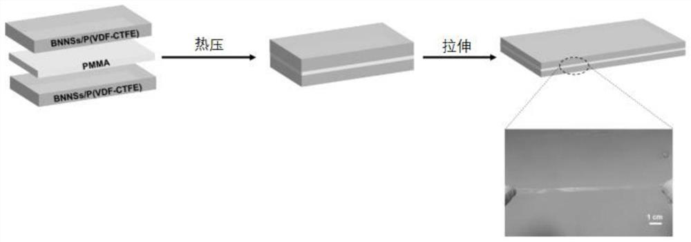 Sandwich structure P (VDF-CTFE) composite film and preparation method thereof