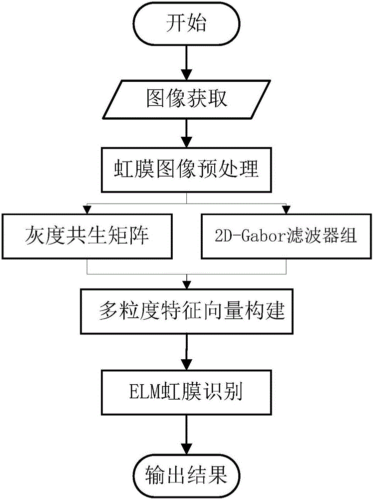 ELM-based multi-granularity iris recognition method