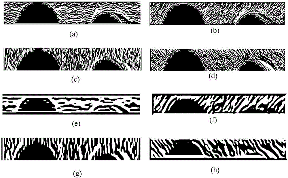 ELM-based multi-granularity iris recognition method