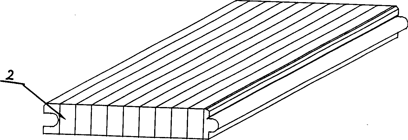 Method of treating bamboo floor using plasma