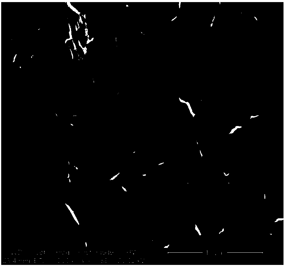 Ionic liquid electrolyte for magnesium alloy surface treatment and method for electroplating aluminum on surface of magnesium alloy