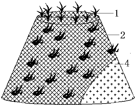 Submerging type ecological restoration water cube used for black and stink water body treatment and water quality improvement