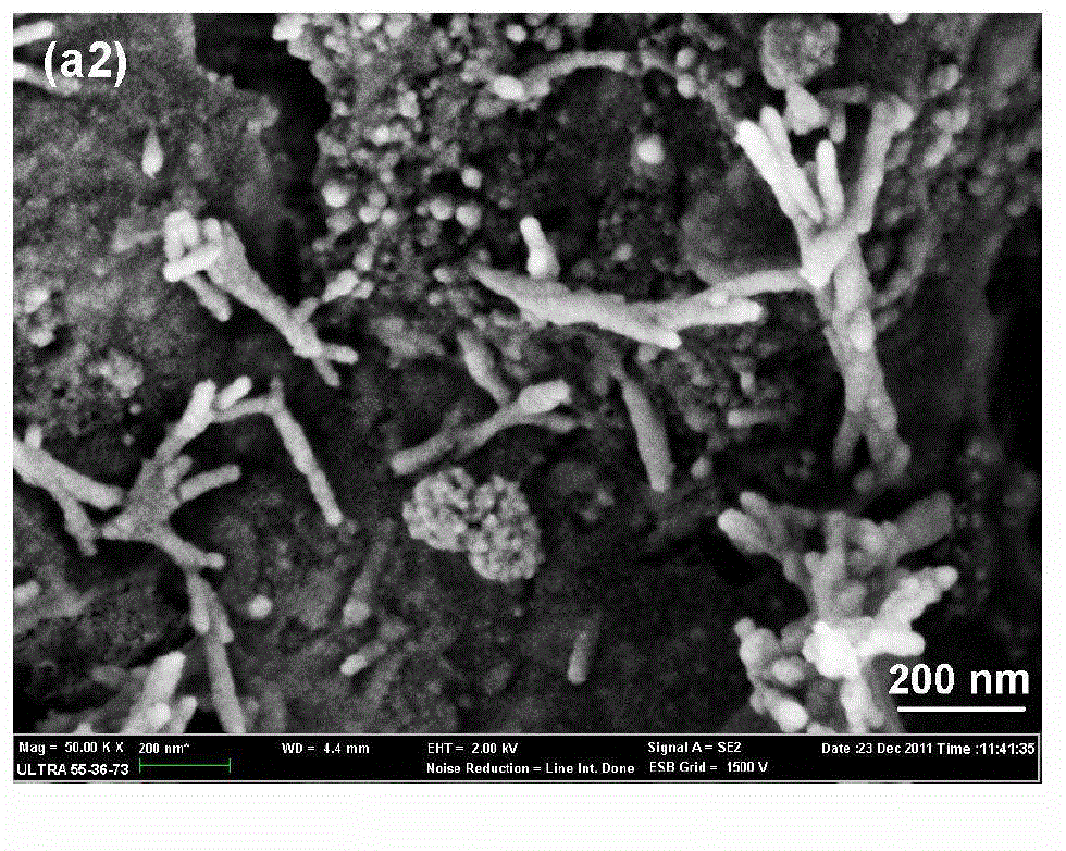 Method for chemically preparing nano microcrystalline cellulose by utilizing moso bamboo