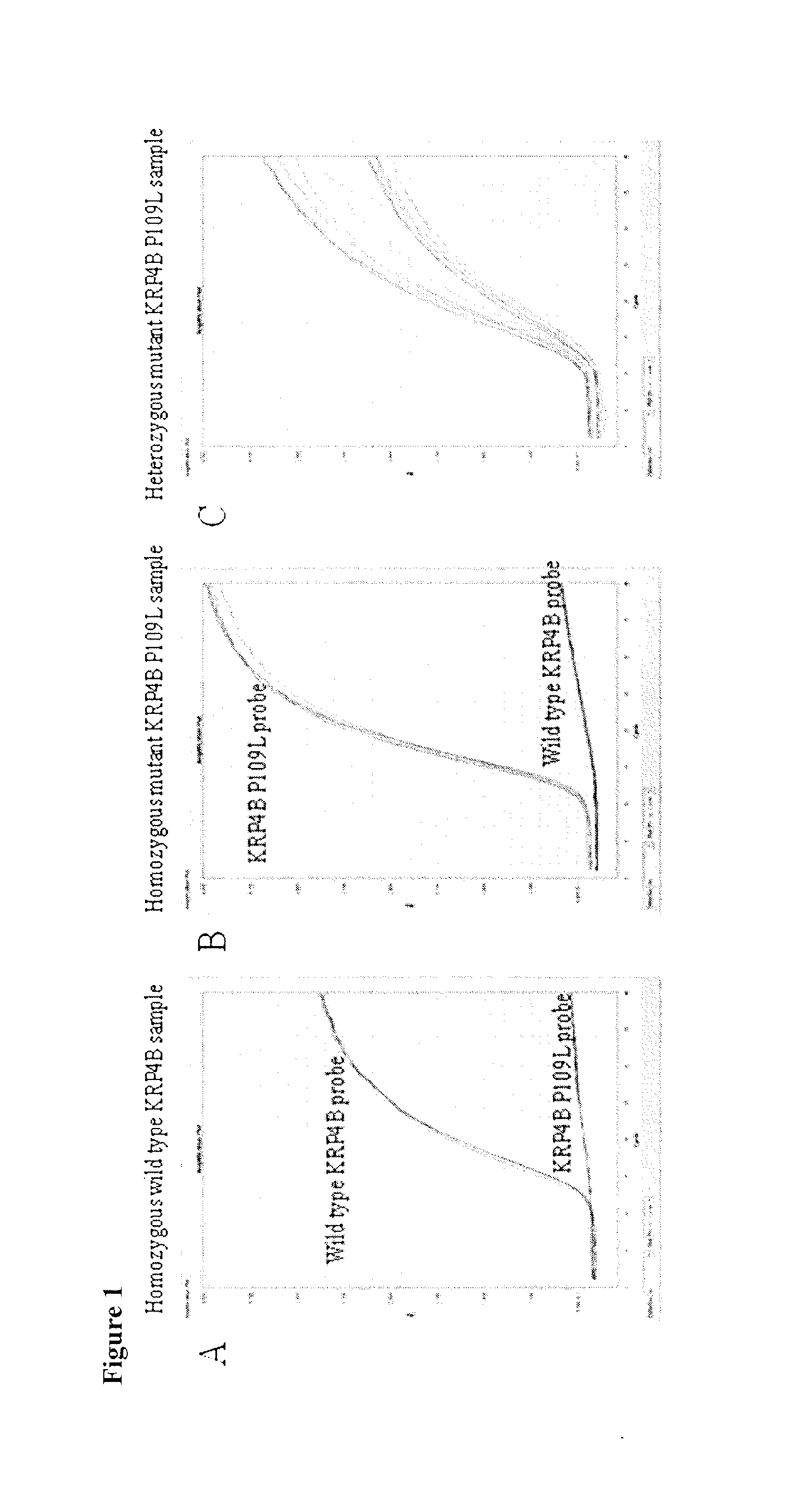 Identification and the use of krp mutants in plants