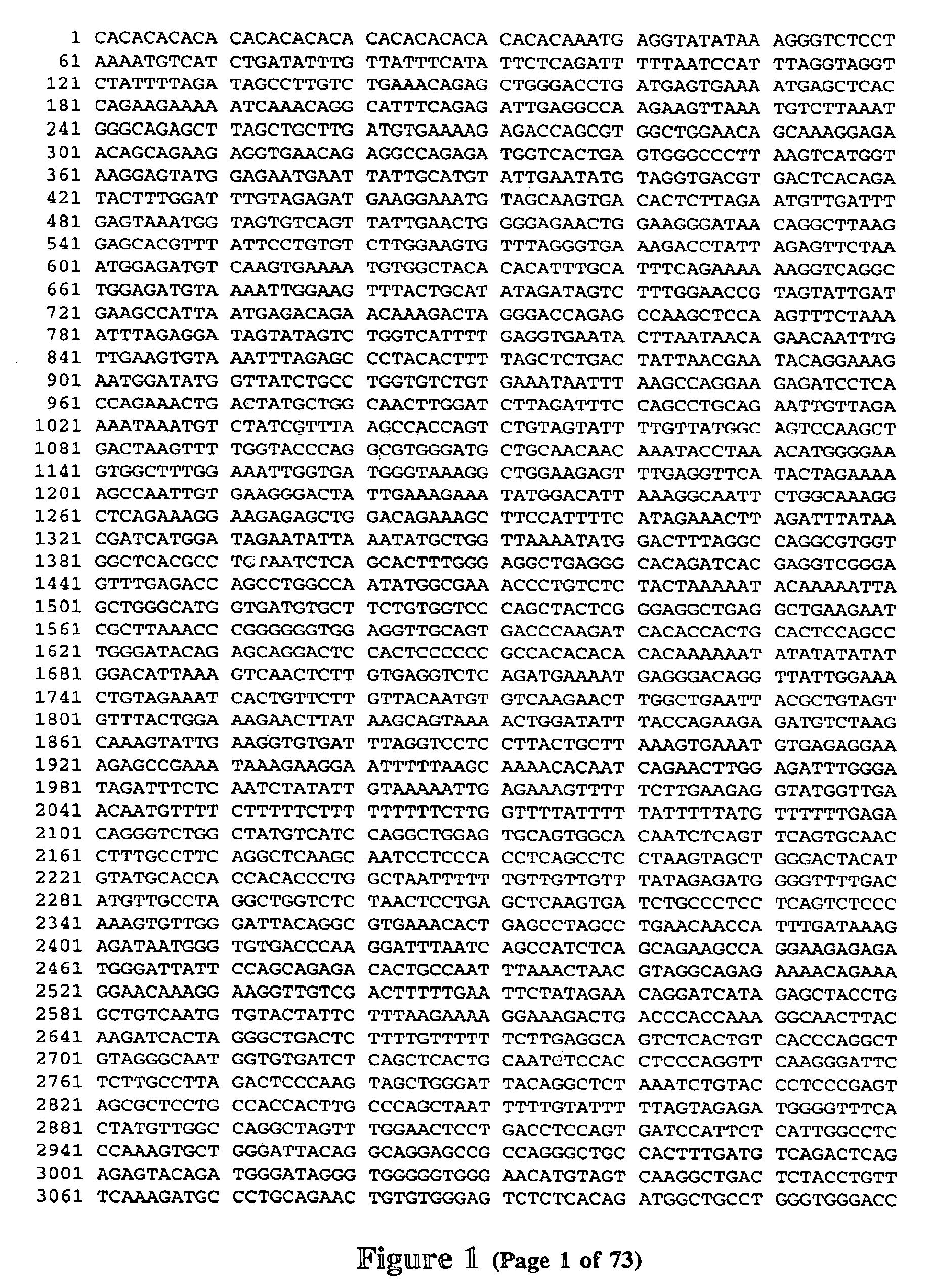 Polymorphisms in the region of the human hemochromatosis gene