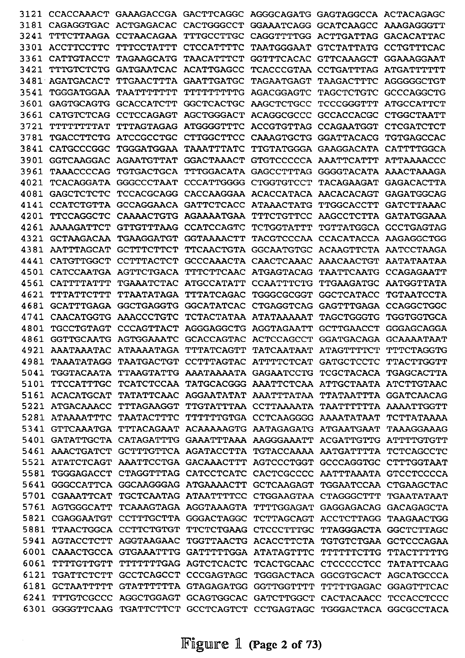 Polymorphisms in the region of the human hemochromatosis gene