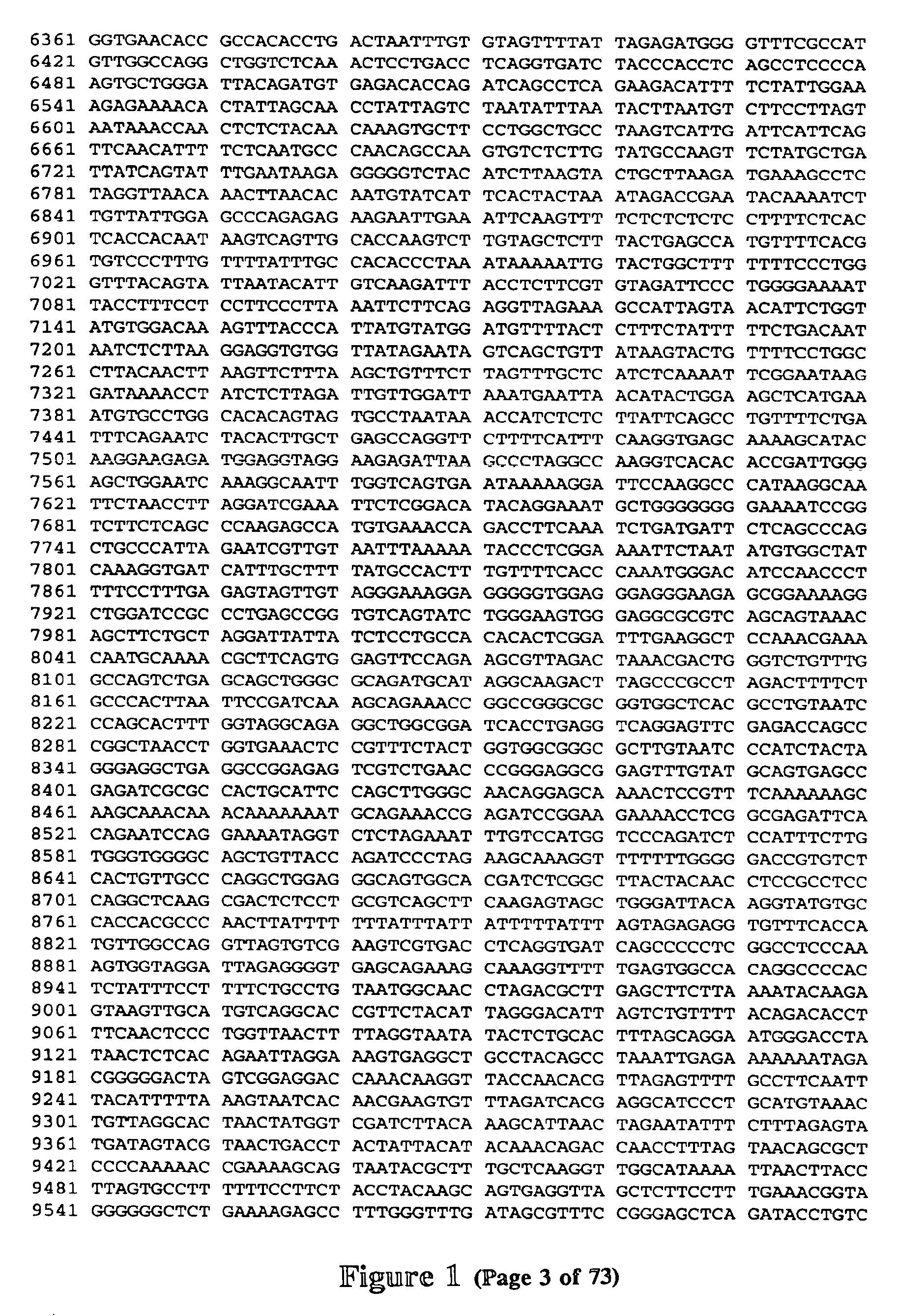 Polymorphisms in the region of the human hemochromatosis gene