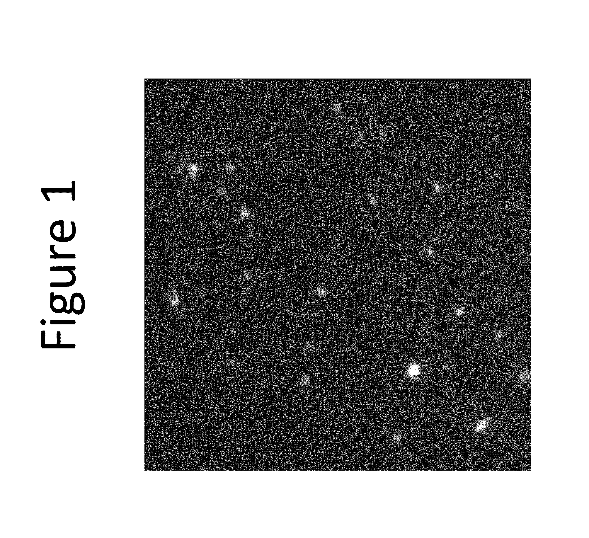 Enhanced loading of intact, bacterially derived vesicles with small molecule compounds