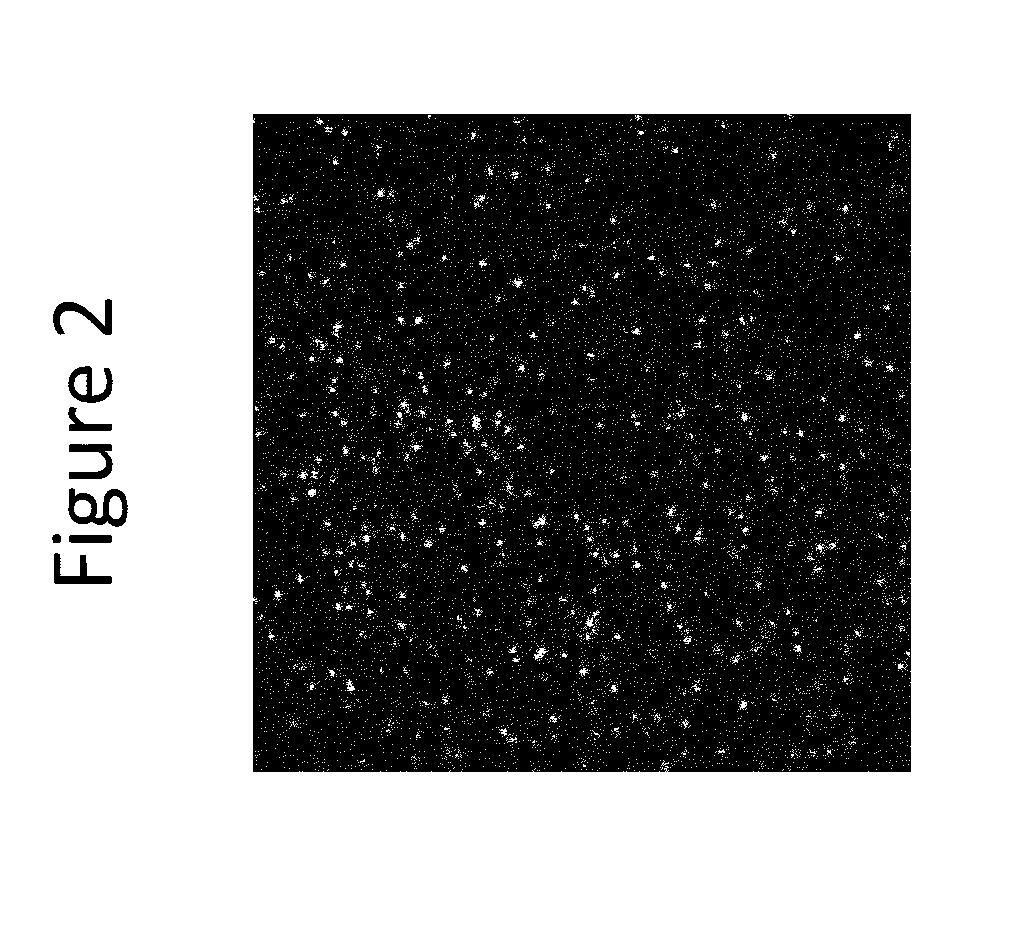 Enhanced loading of intact, bacterially derived vesicles with small molecule compounds