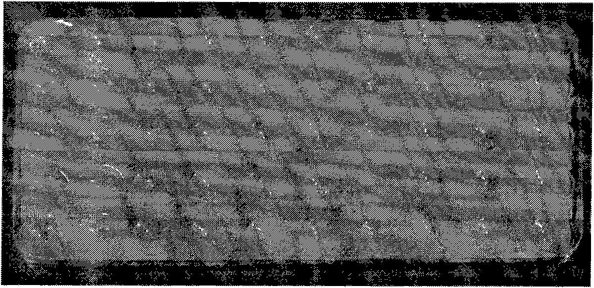 Technique for detection by using polybrene microplate before blood transfusion