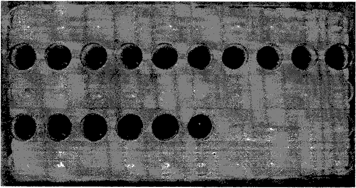 Technique for detection by using polybrene microplate before blood transfusion