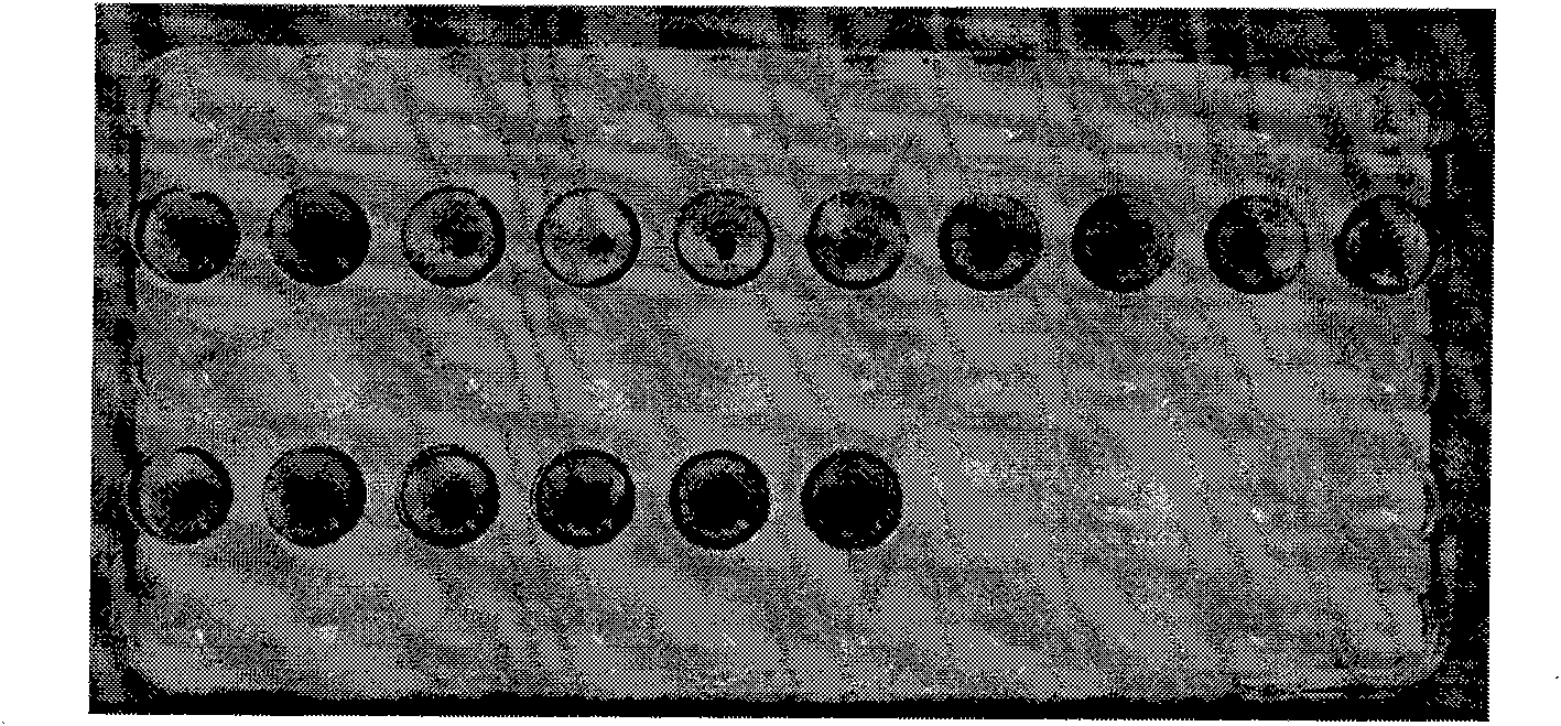 Technique for detection by using polybrene microplate before blood transfusion