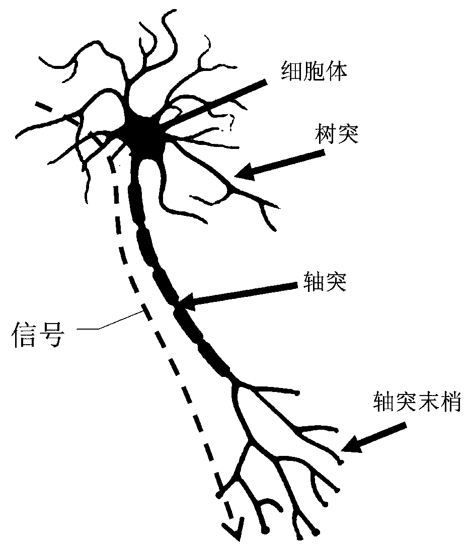 Circuit structure and its driving method, neural network