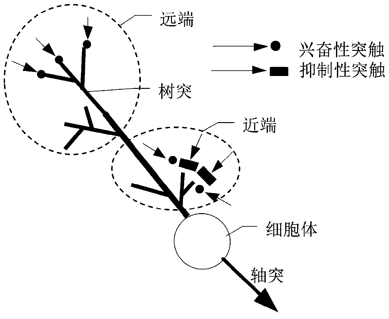 Circuit structure and its driving method, neural network