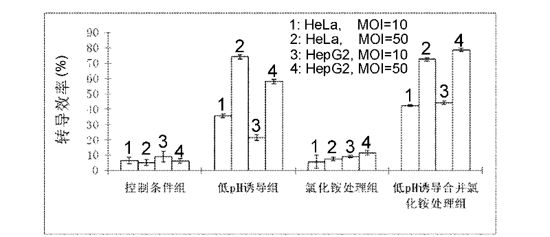 Method for improving transduction efficiency of rhabdovirus on mammalian cells