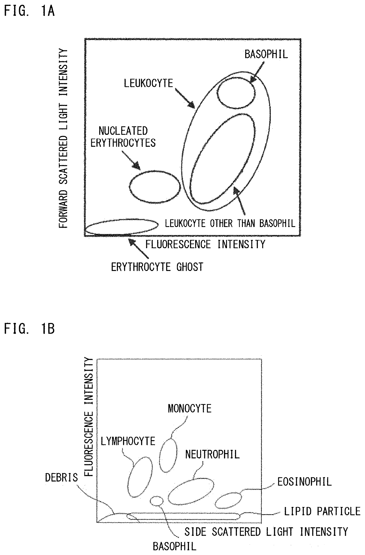 Bone marrow fluid analysis method, sample analyzer, and non-transitory storage medium