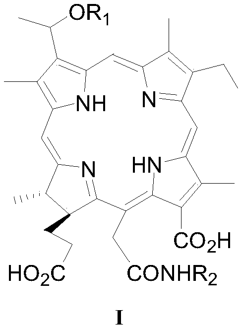 A kind of chlorin e6 derivative and its pharmaceutically acceptable salt, its preparation method and application