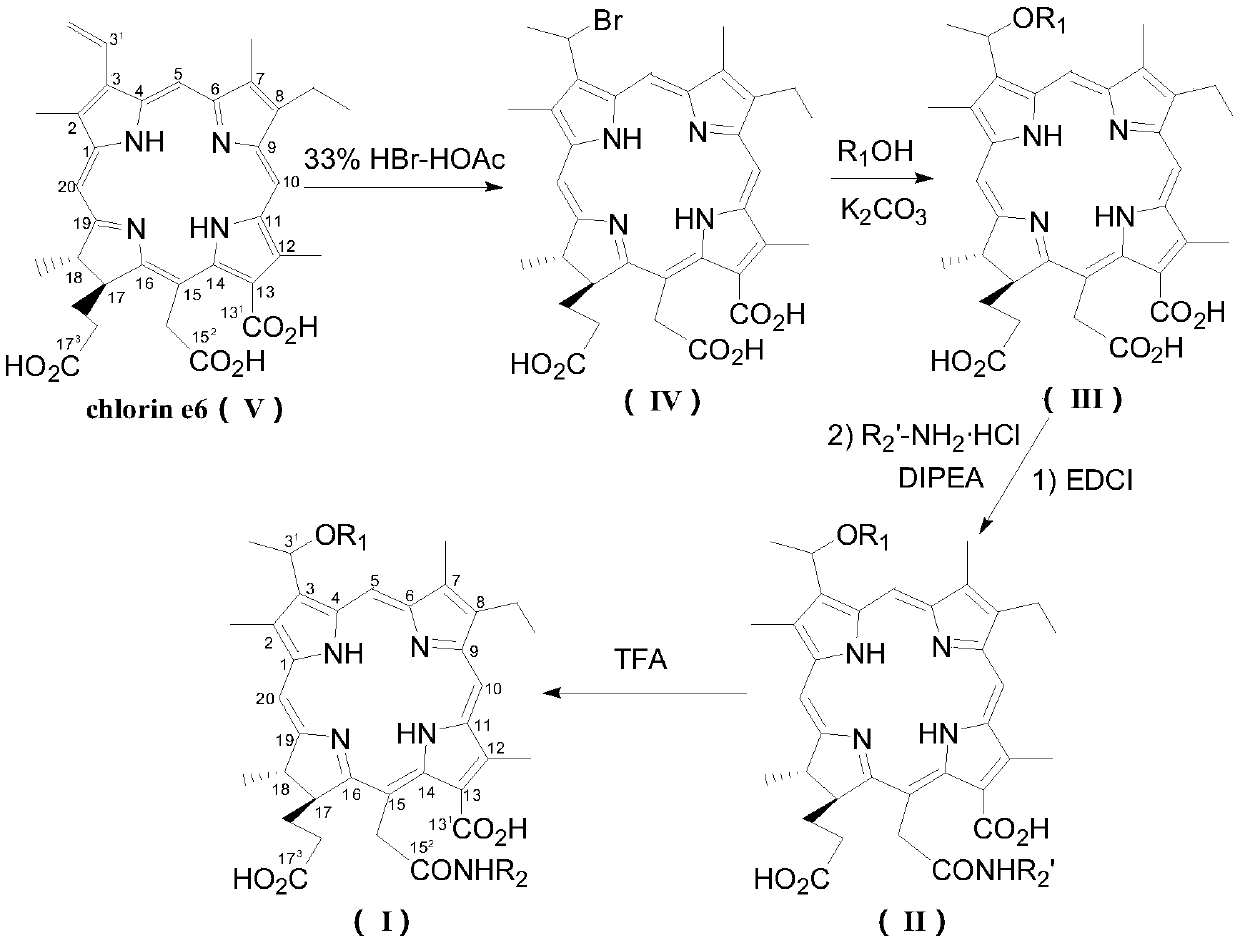 A kind of chlorin e6 derivative and its pharmaceutically acceptable salt, its preparation method and application