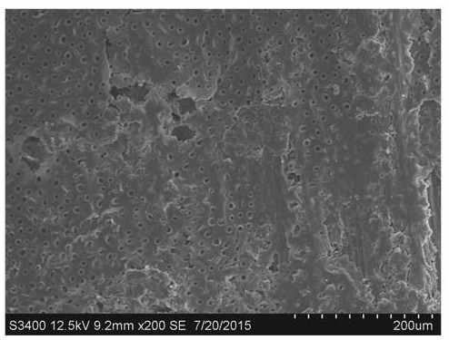 Preparation of artificial super-wetting lotus-leaf-shaped Janus film