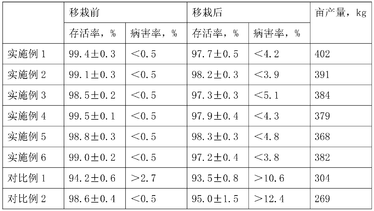 Cotton planting method with high yield and low pest rate