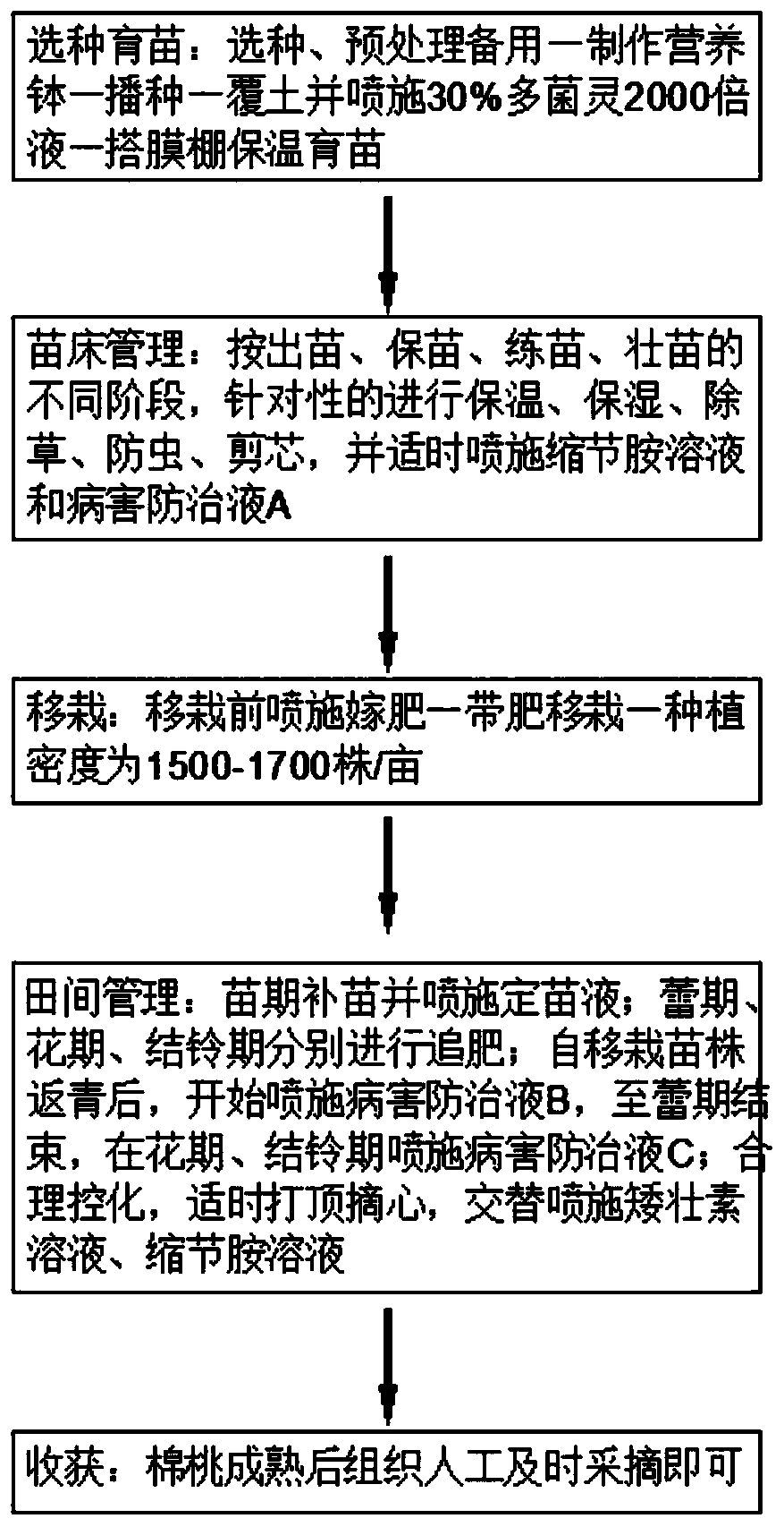 Cotton planting method with high yield and low pest rate