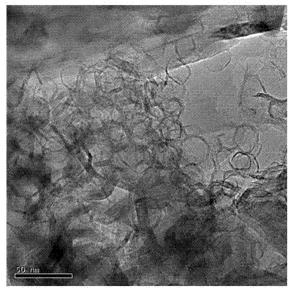 Preparation method of graphite negative electrode material containing hollow carbon nanostructure for lithium ion battery